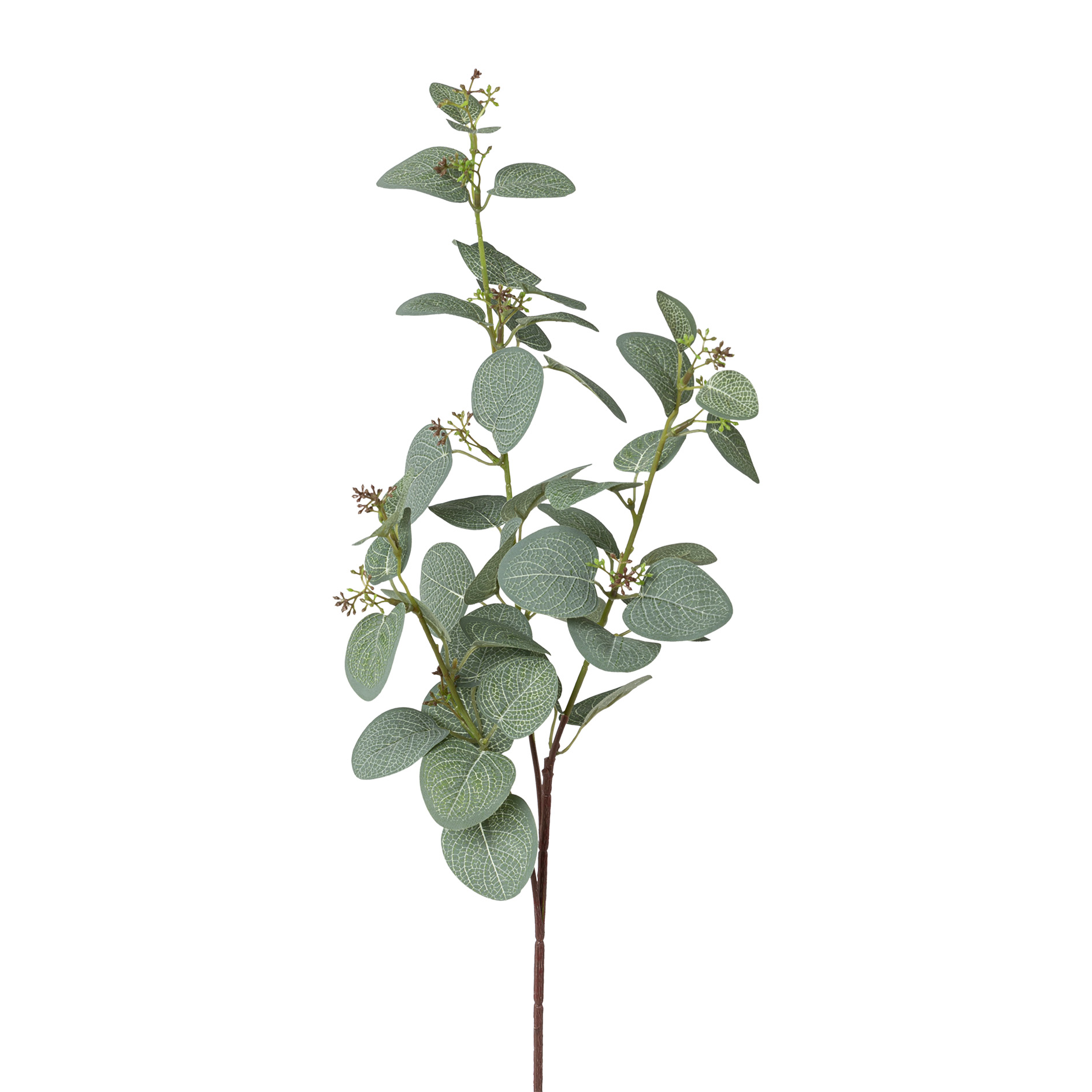 Plante artificielle branche eucalyptus  EUKALYPTUS Plante artificielle branche eucalyptus  EUKALYPTUS