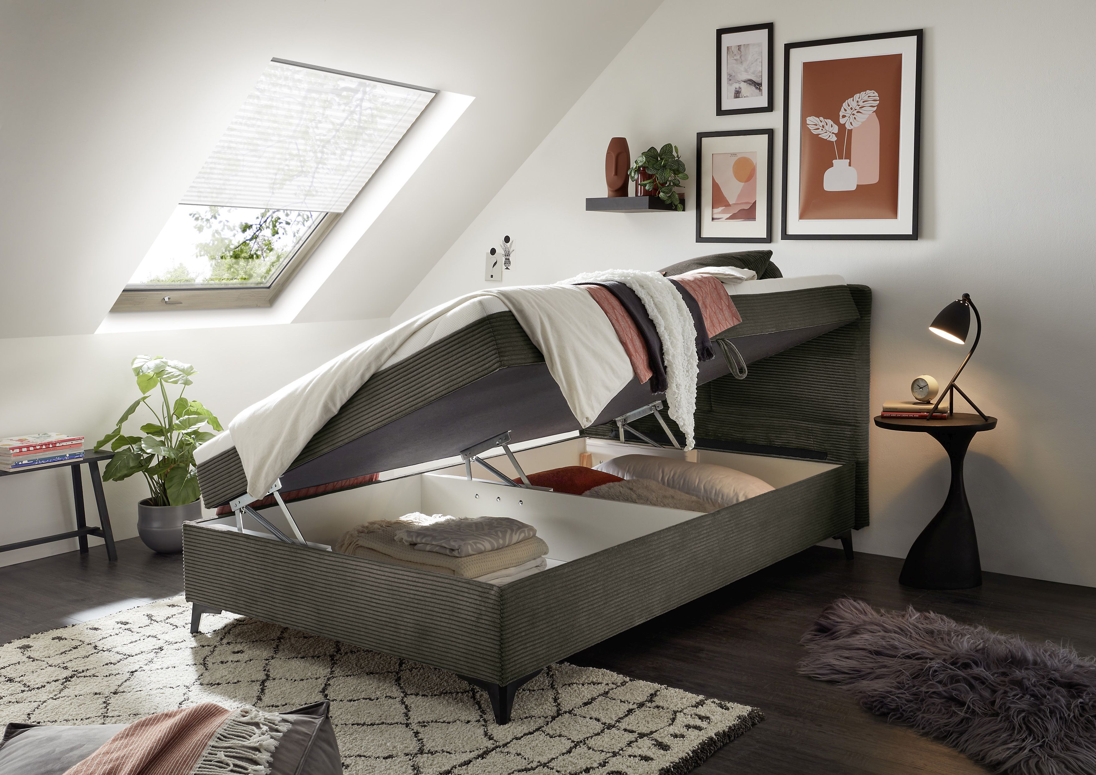 Boxbett BACALAR 1