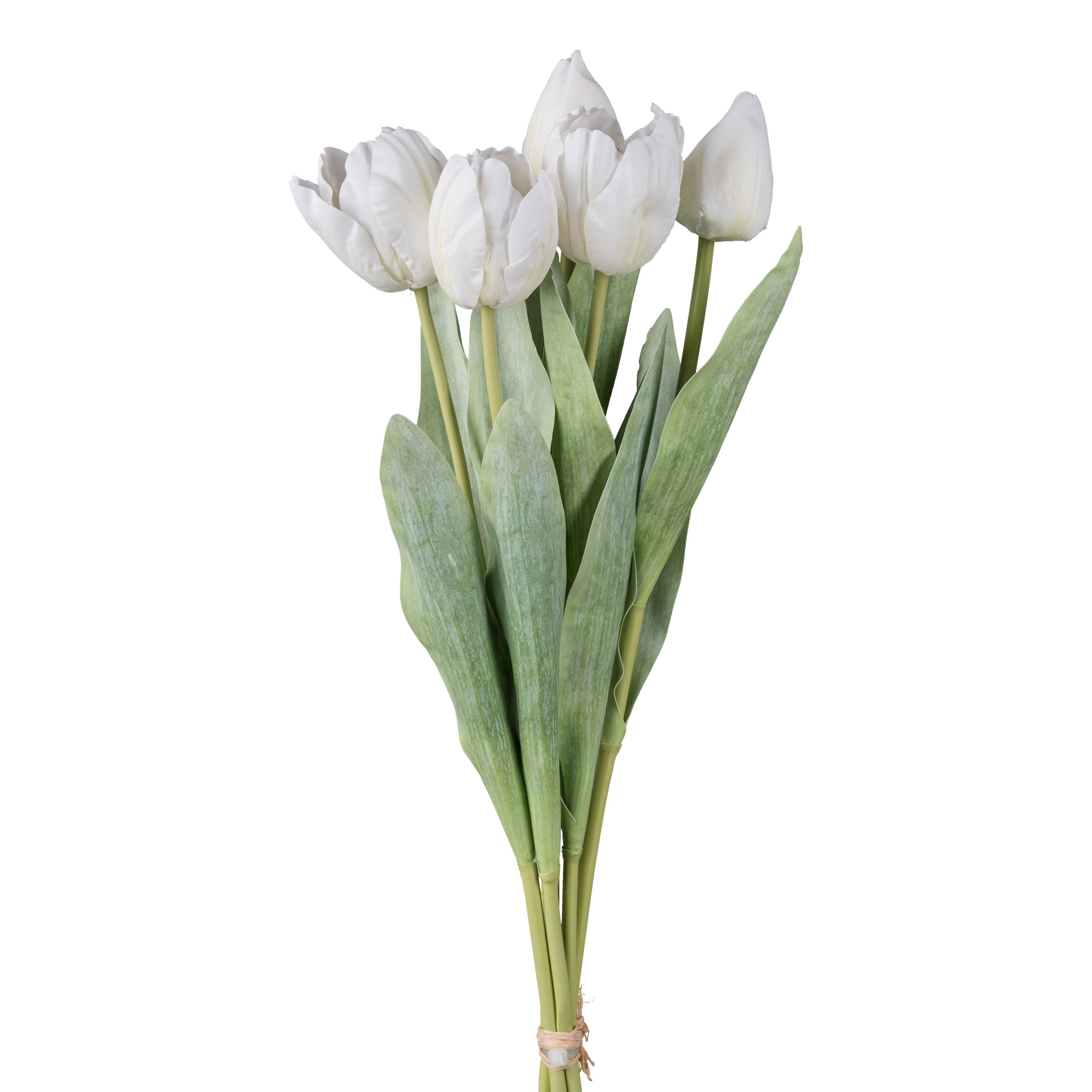 Bouquet de 5 tulipes TULPE