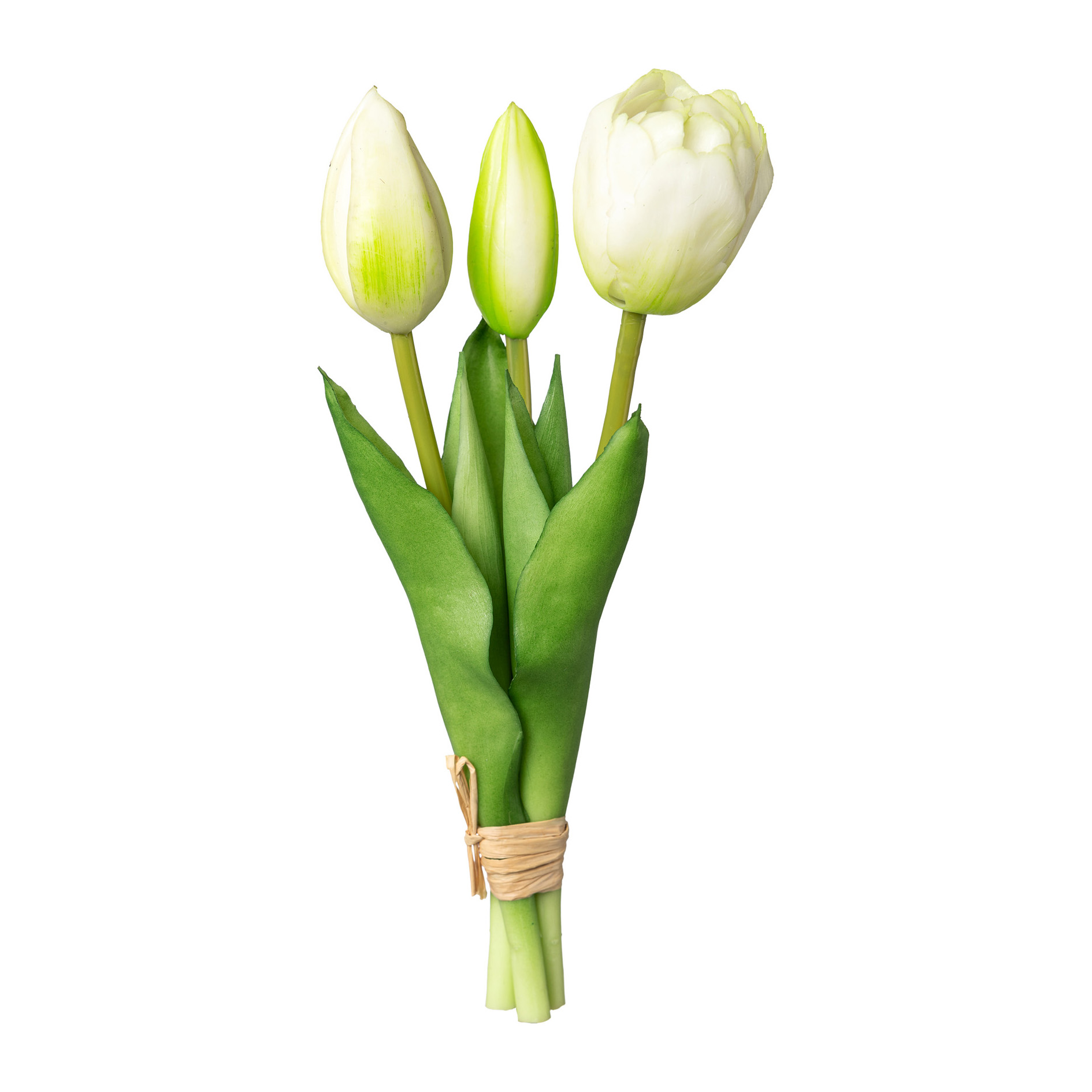 Bouquet de 3 tulipes TULPE