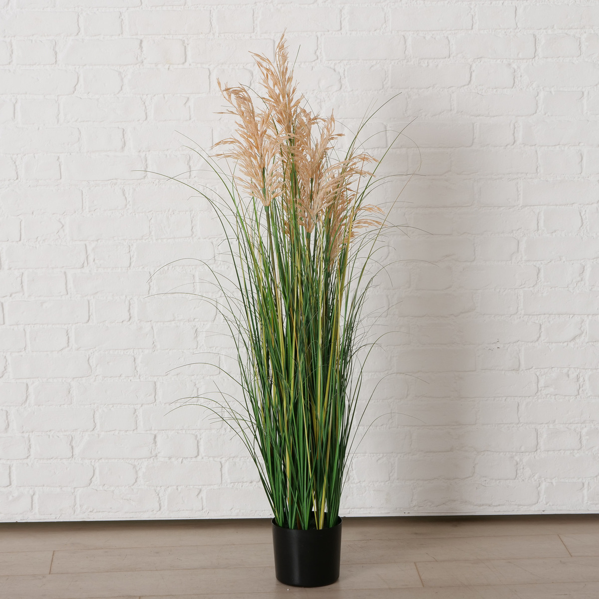 Plante en pot zoostère MARITIM