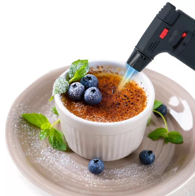 Pistolet à gaz ALPINA