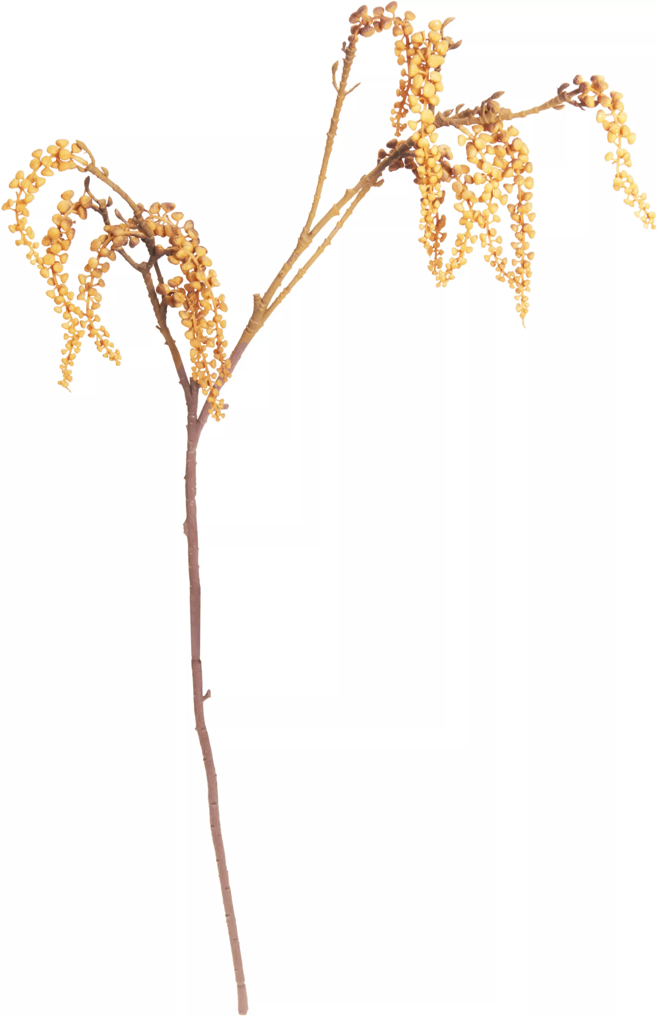 Herbstzweig  HERBST