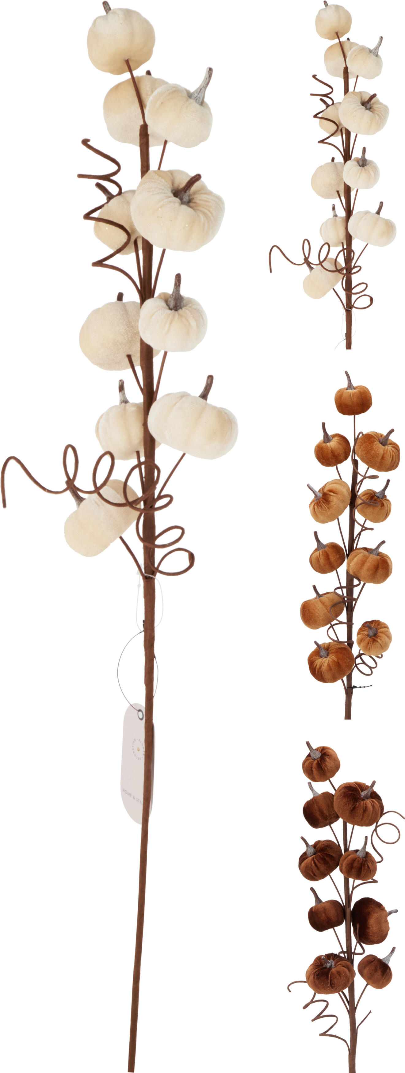 Branche d'automne feuilles HERBST Branche d'automne feuilles HERBST