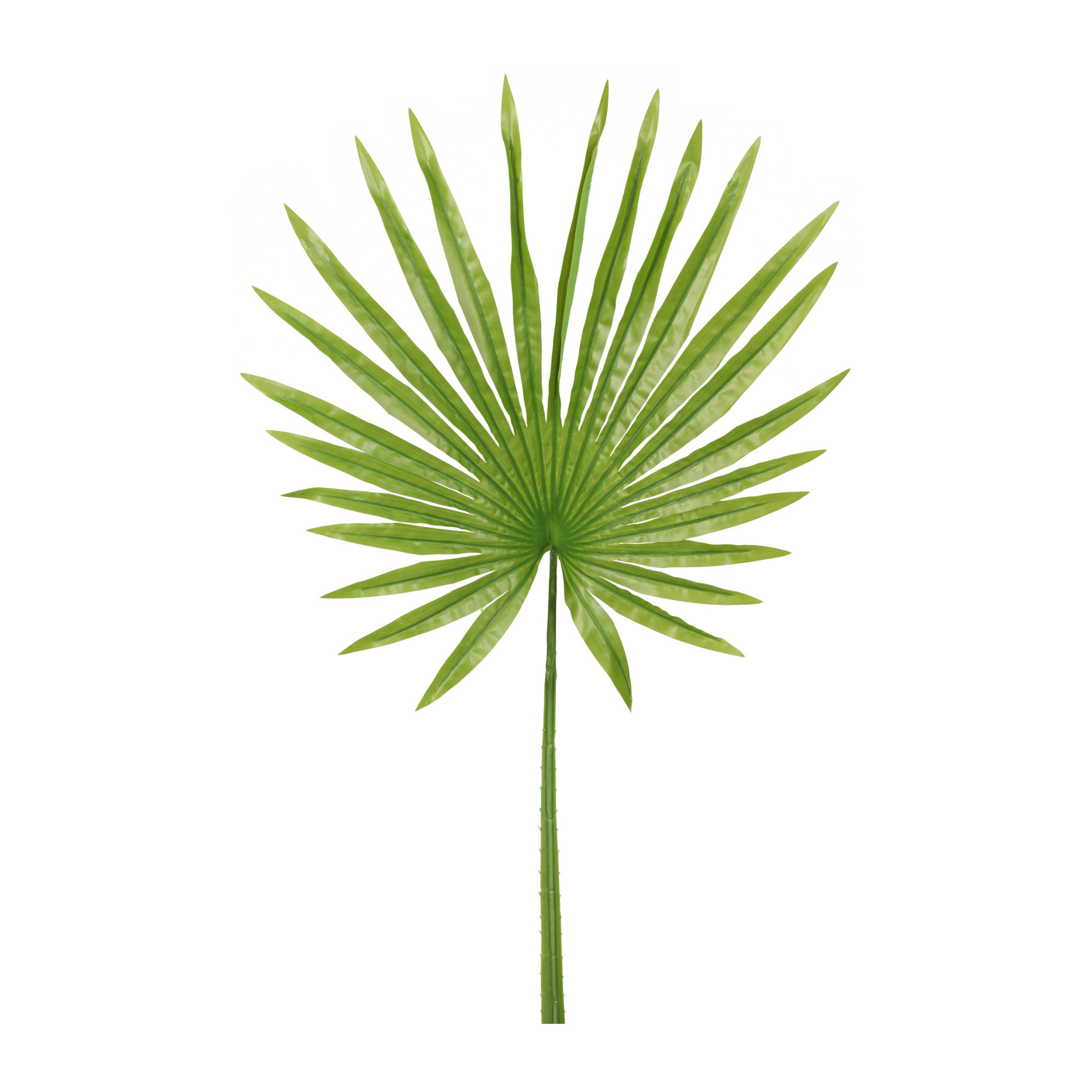 Feuille décorative 90cm FÄCHERPALMWEDEL