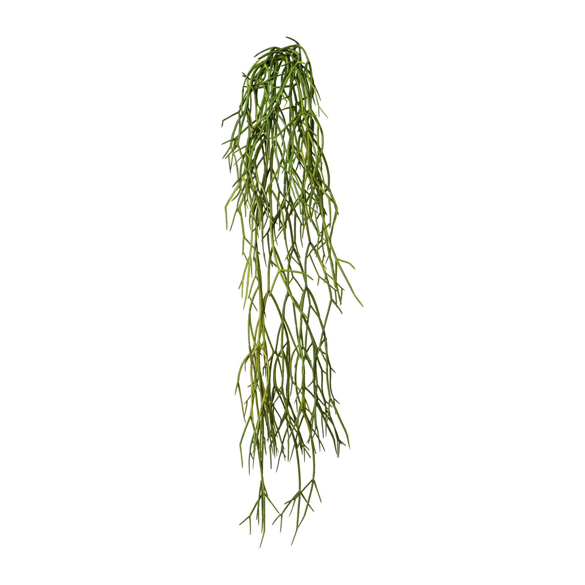 Plante artificielle RHIPSALIS