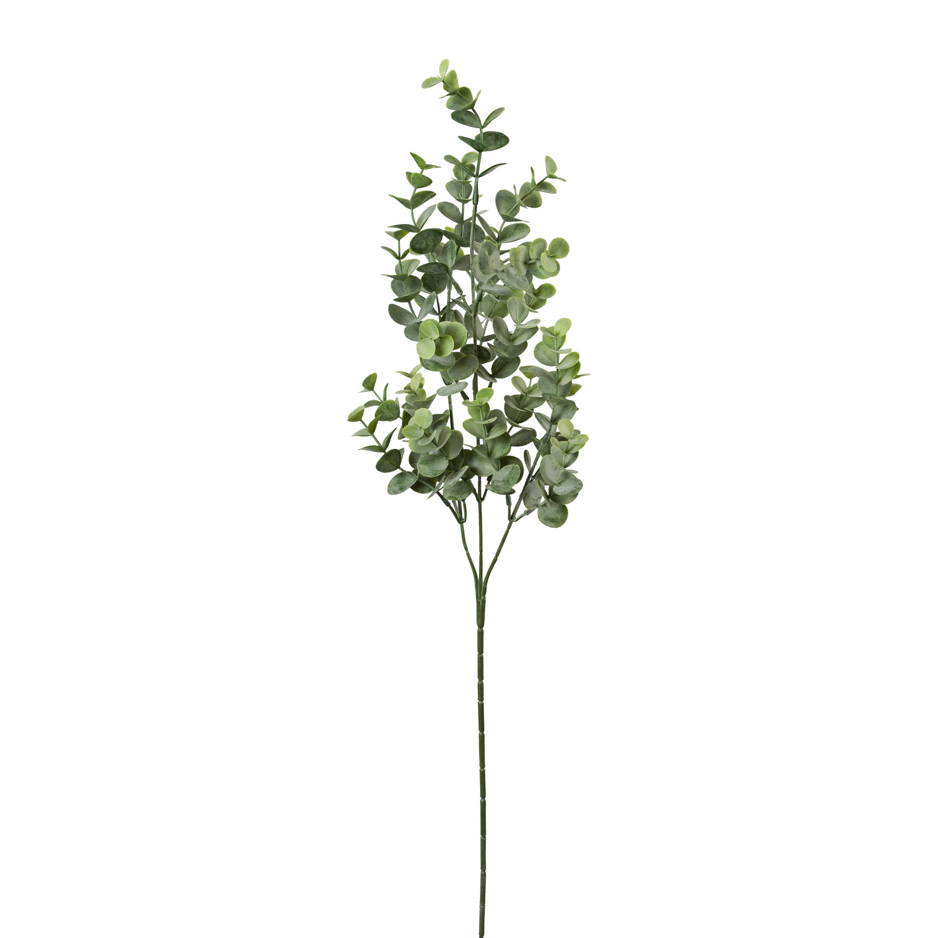 Branche décorative 69cm EUKALYPTUS