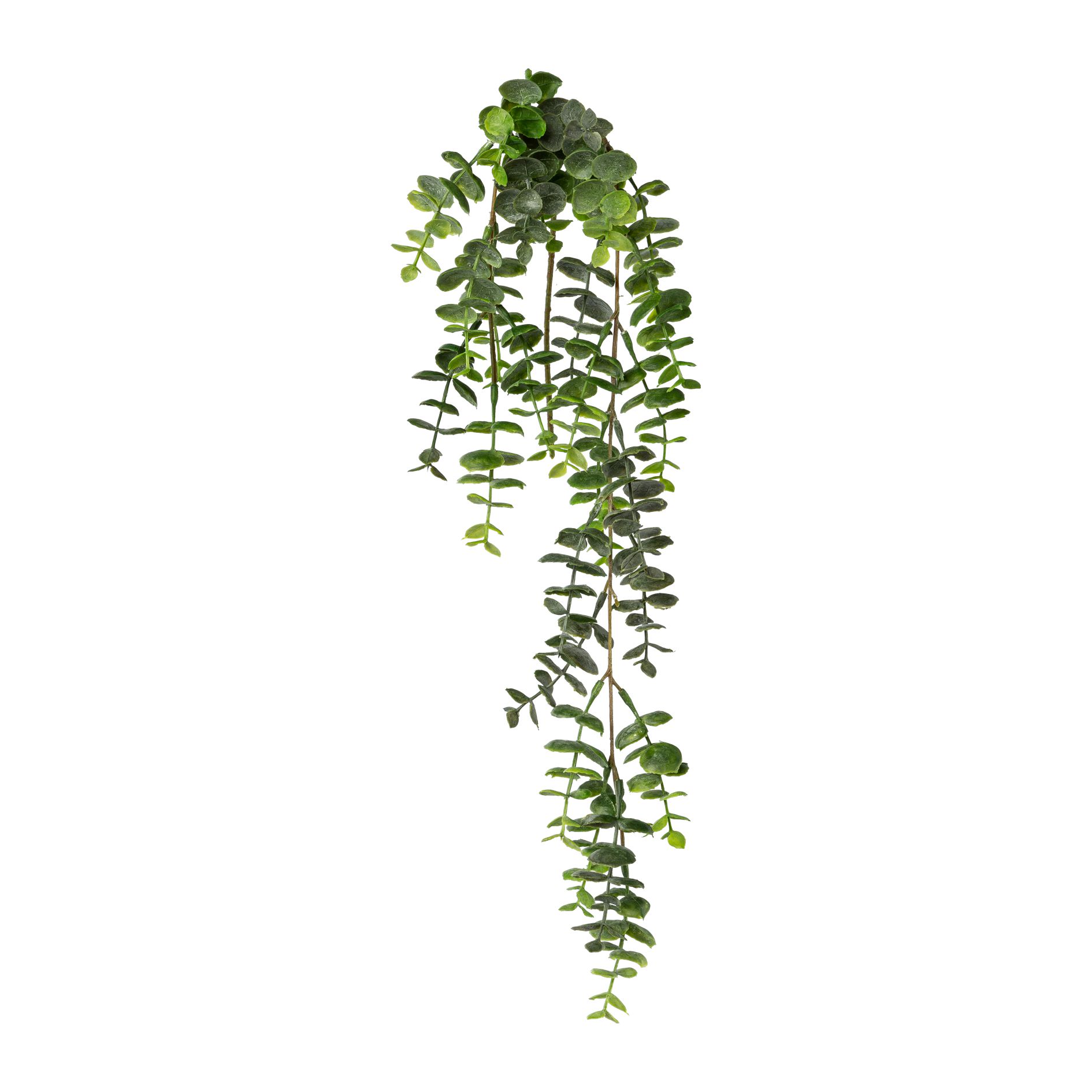 Plante artificielle eucalyptus tombant EUKALYPTUS Plante artificielle eucalyptus tombant EUKALYPTUS