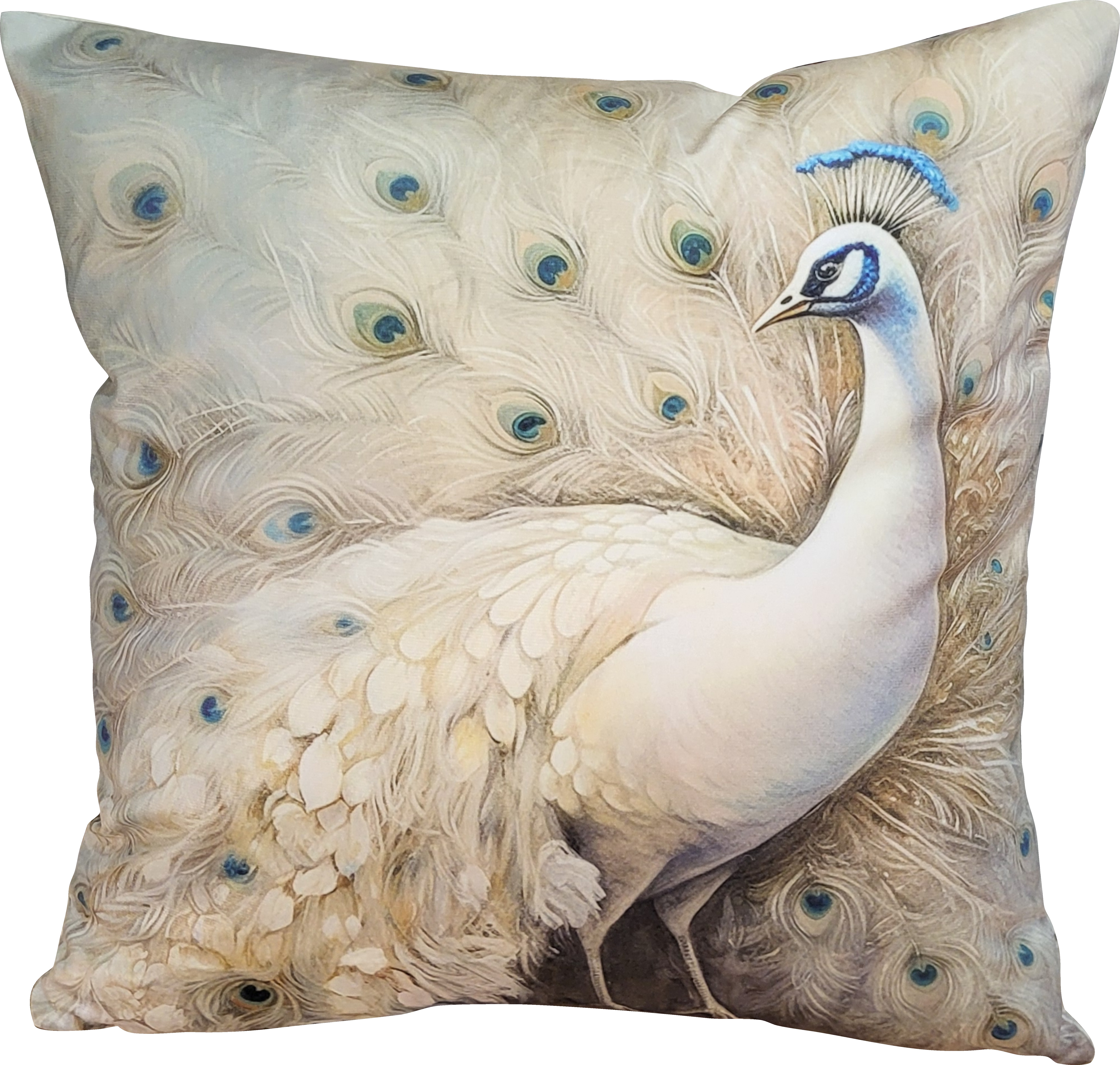 Housse de coussin paon EVA Housse de coussin paon EVA