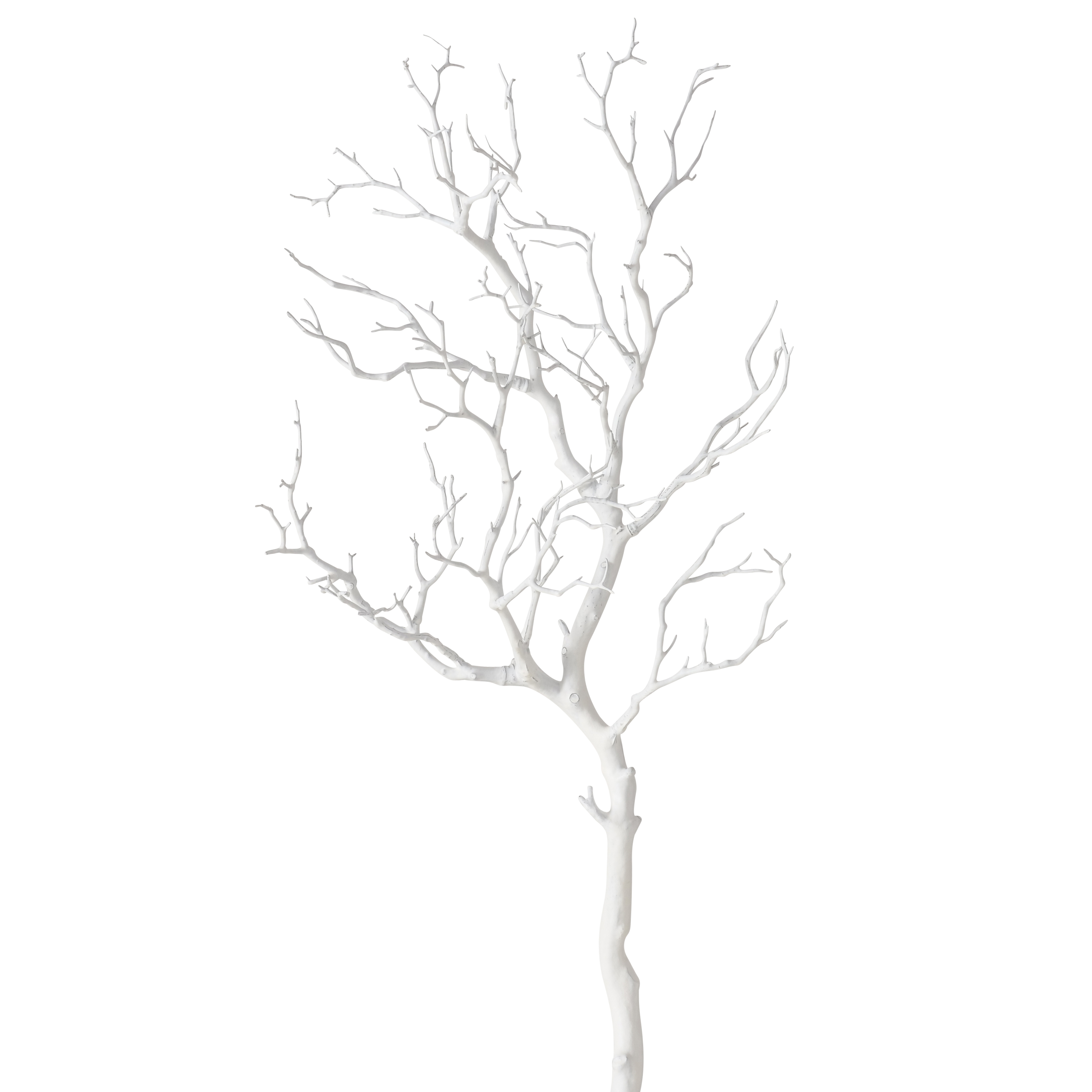 Branche décorative ASTRA Branche décorative ASTRA