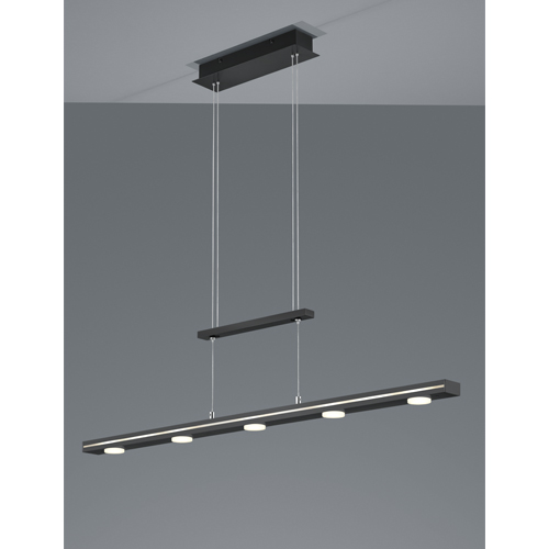 LED Pendelleuchte LACAL