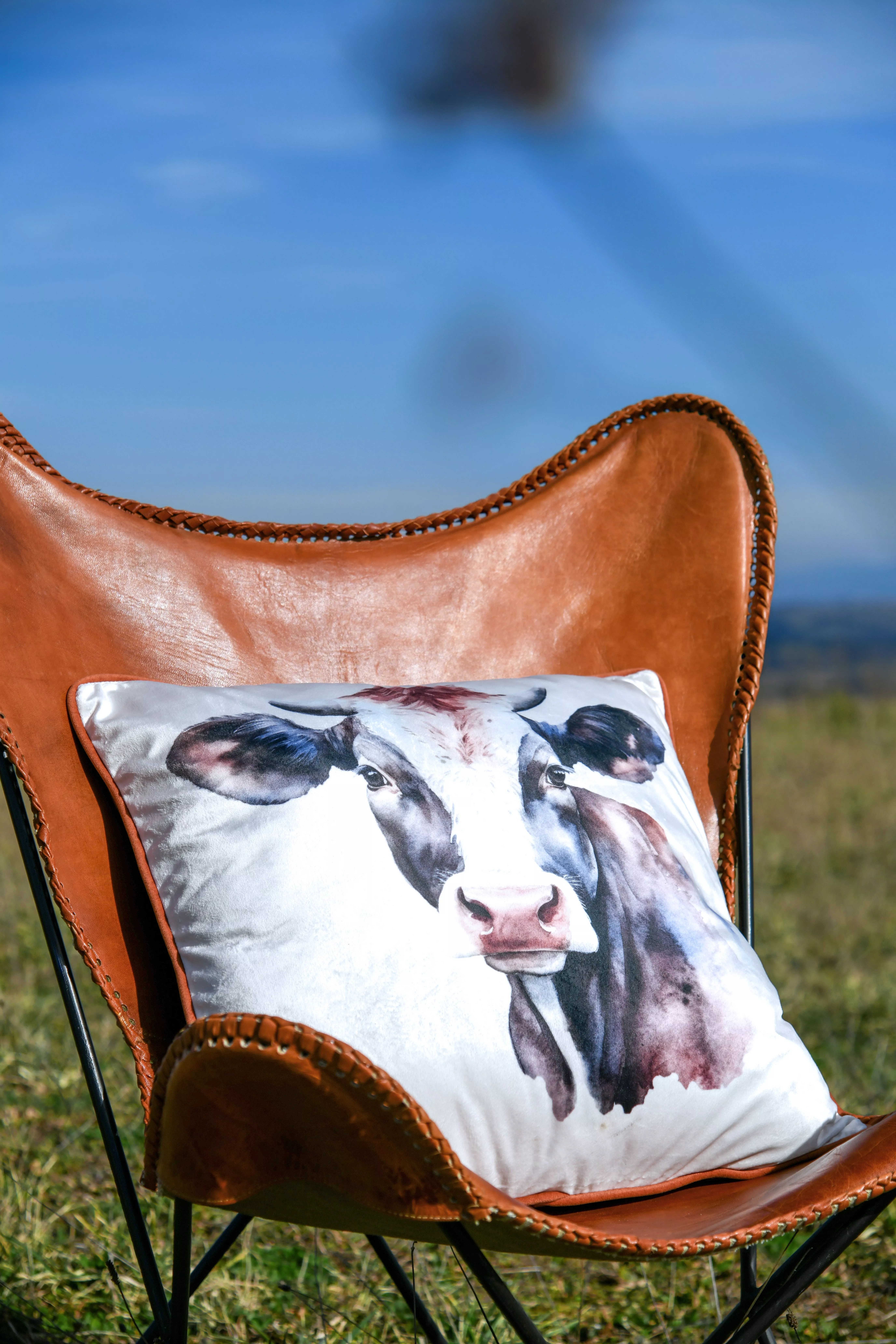 Dekokissen  Kuh HOMETEX