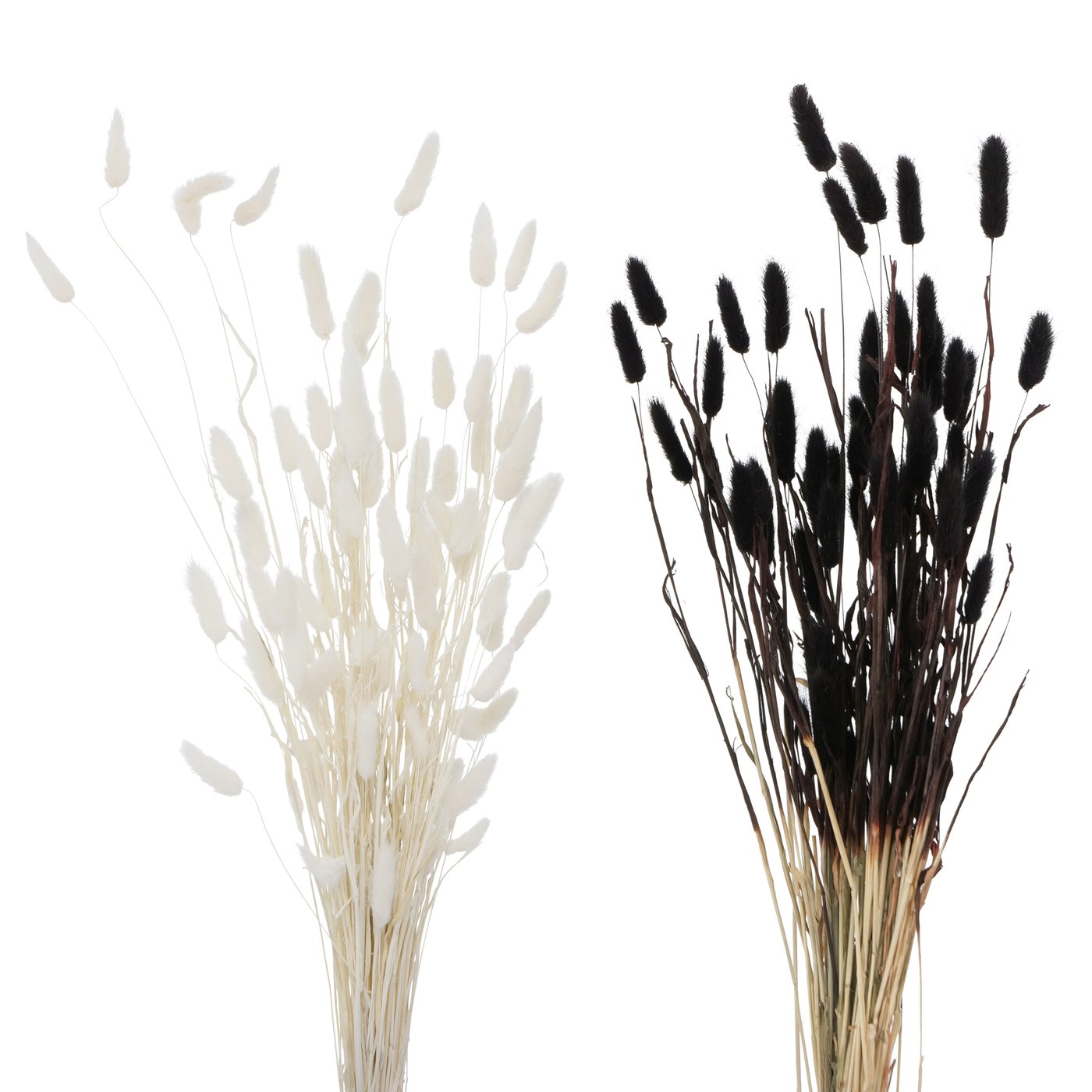 Dekozweig  SAMTGRAS Dekozweig  SAMTGRAS