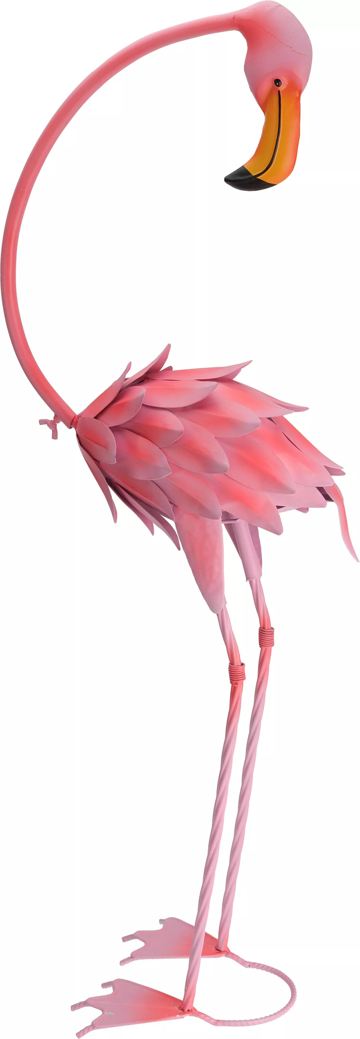 Flamingo  EH