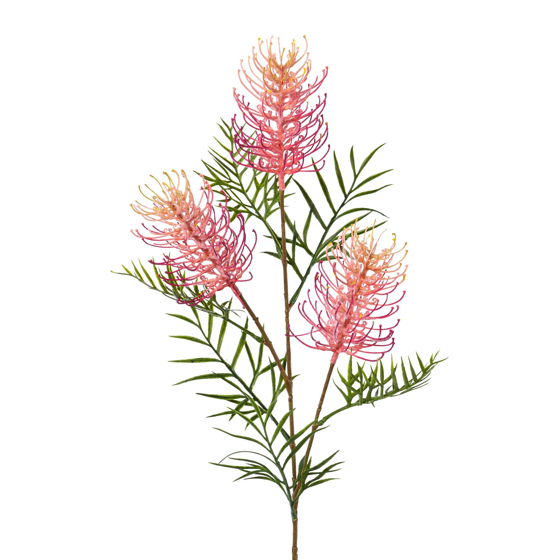 Deko-Zweig 83cm GREVILLEA