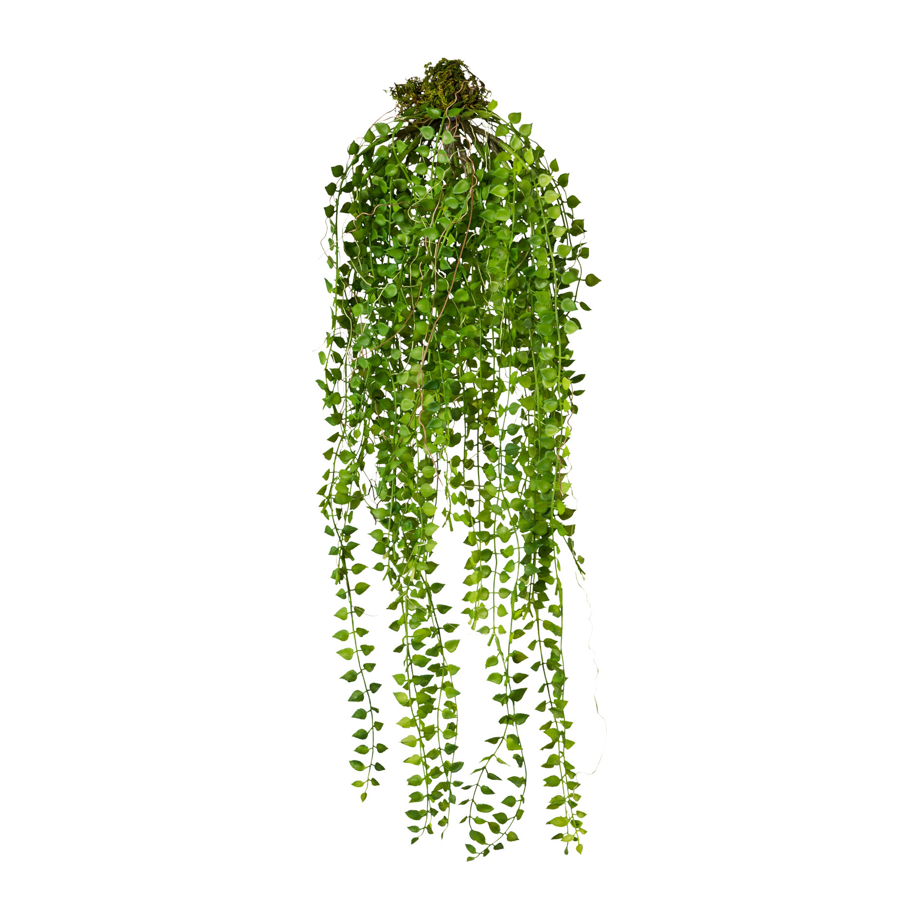 Plante artificielle COLUMNEA Plante artificielle COLUMNEA