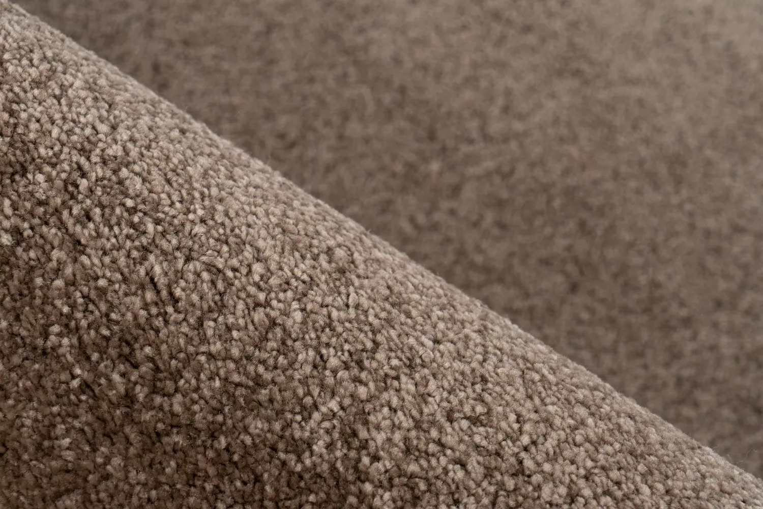 Tapis TERNDY UNI