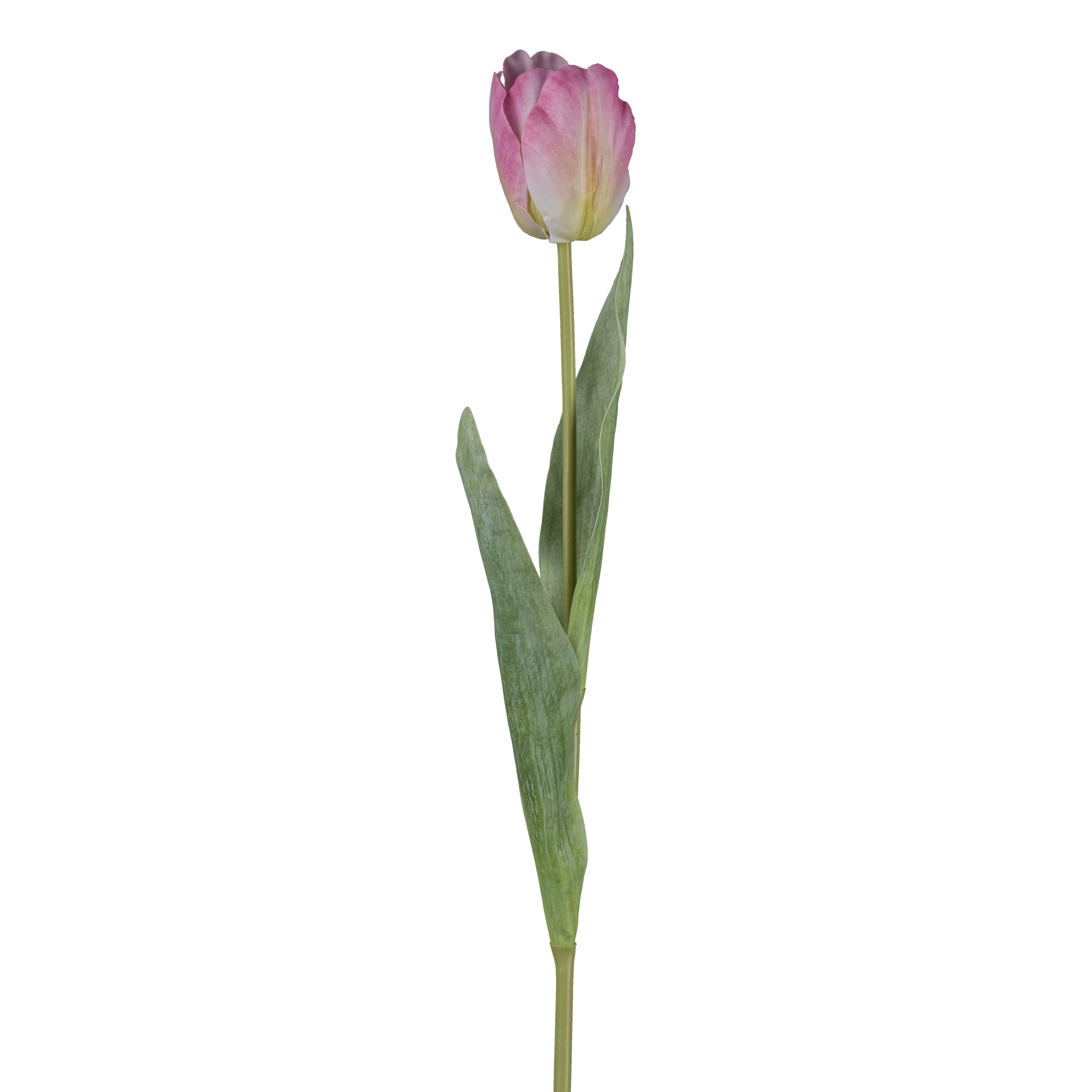 Fleur décorative TULPE