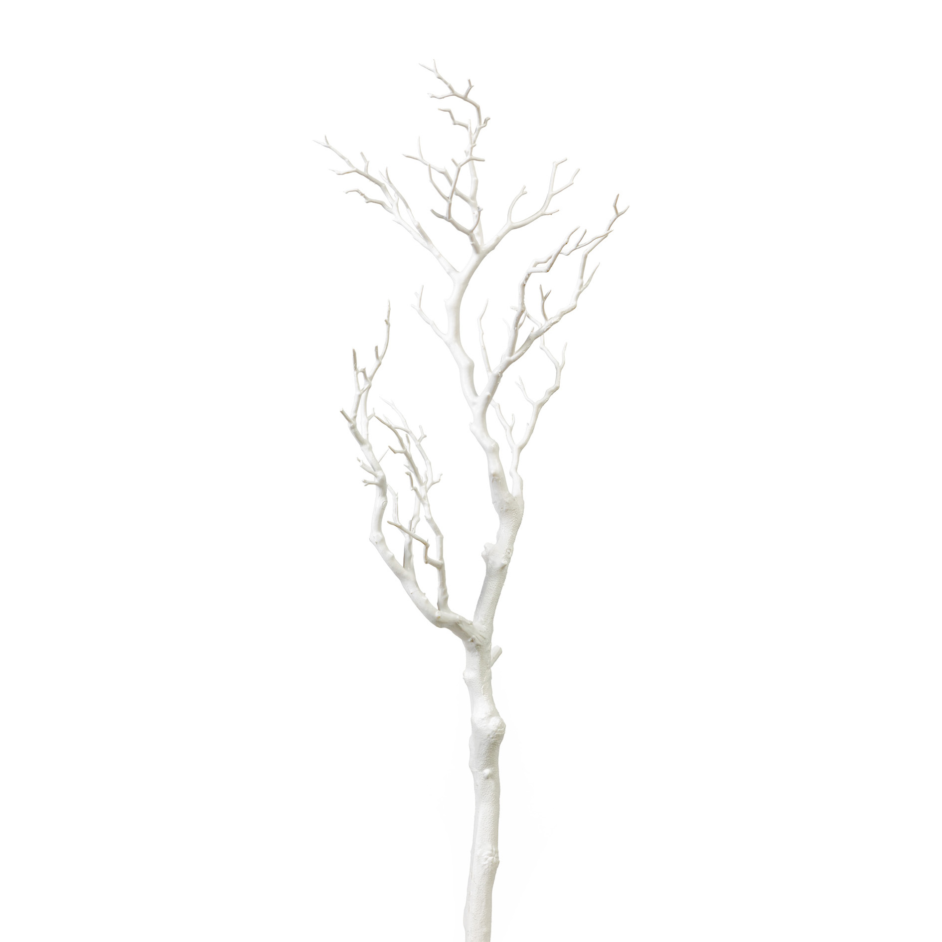 Dekoast BERND Dekoast BERND