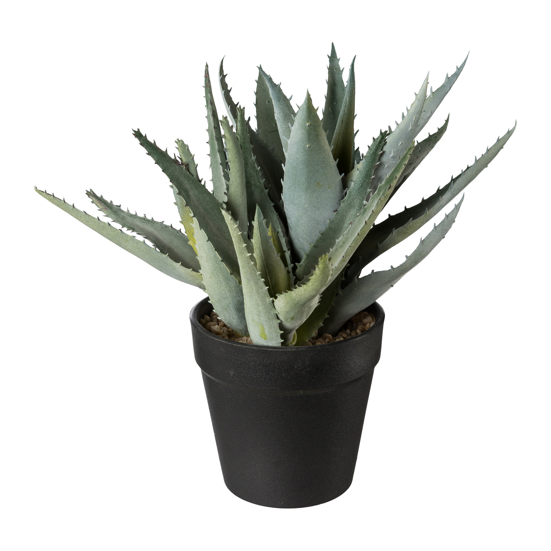 Plante décorative en pot 23cm ALOE Plante décorative en pot 23cm ALOE