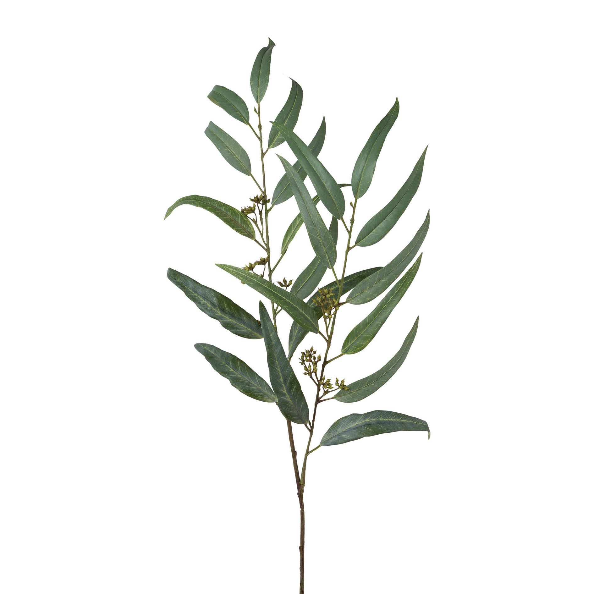 Branche décorative 93cm EUKALYPTUS