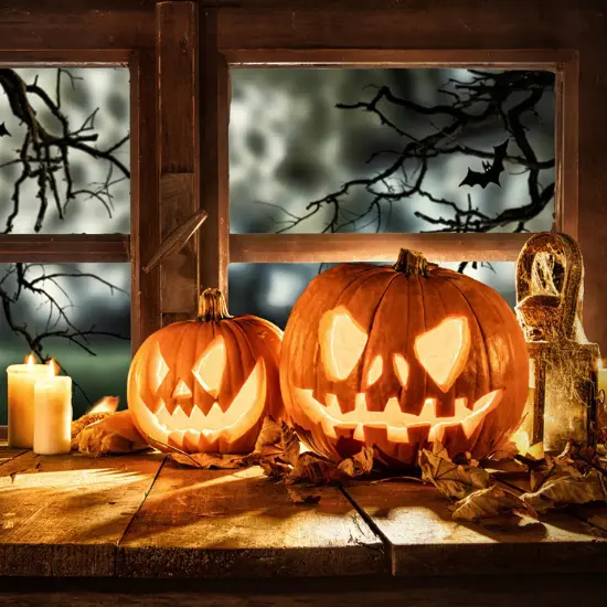 Décoration d'Halloween effrayante et magnifique. Découvrez-la ici>