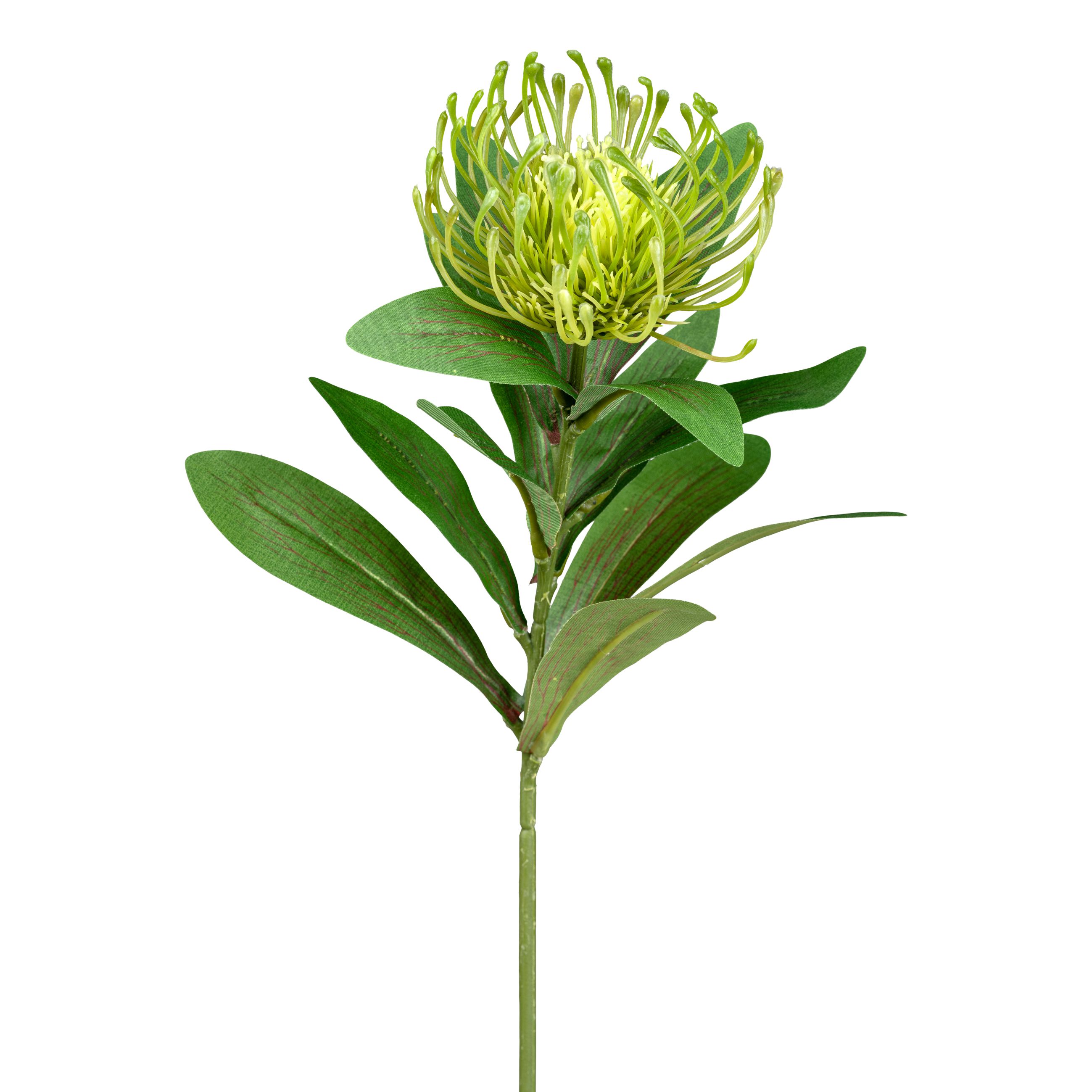 Fleur décorative 64cm NADELKISSENPROTEA