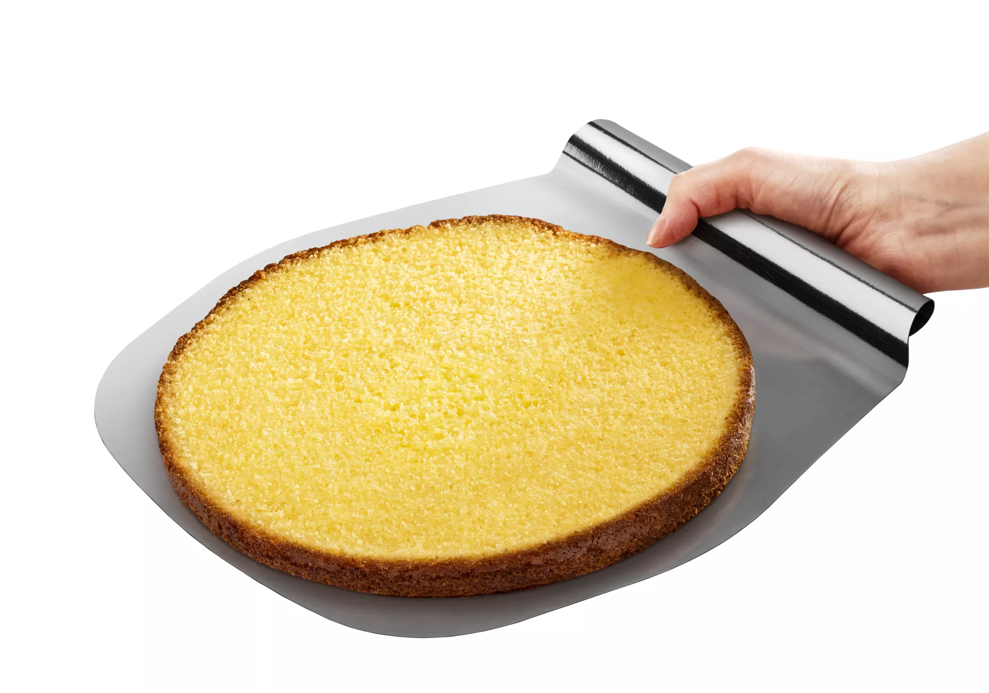 Pelle à gâteau INOX