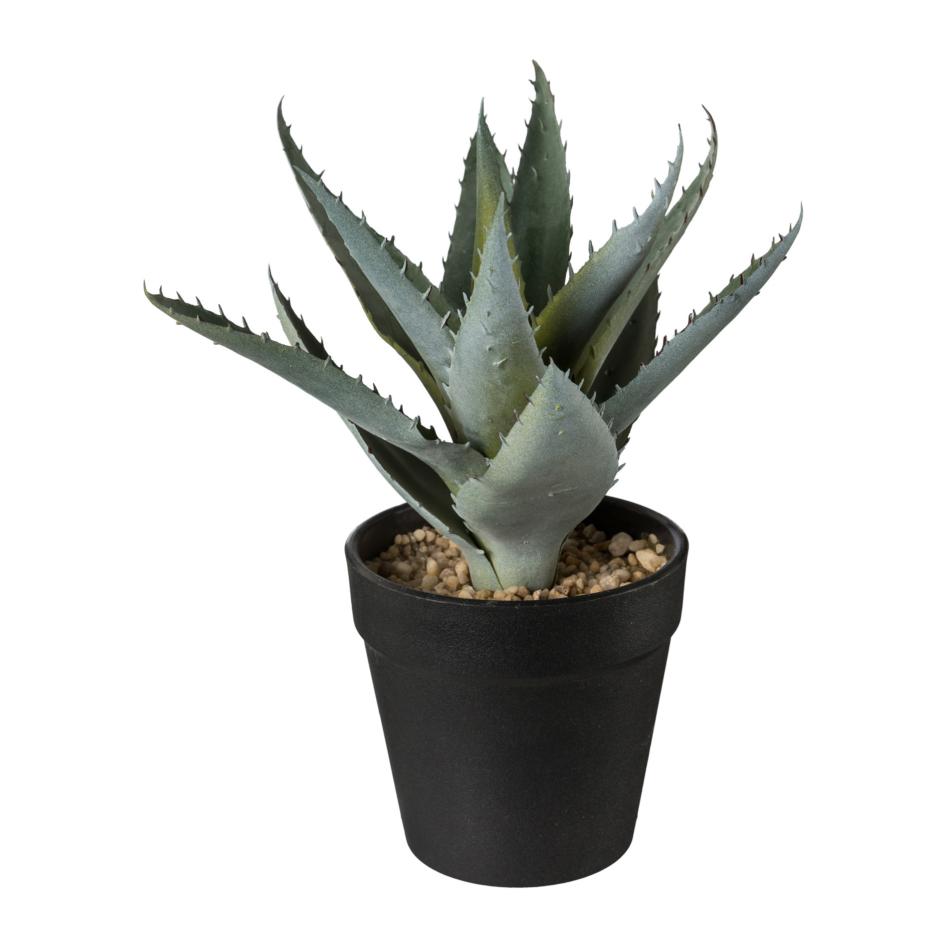 Deko-Pflanze im Topf 20cm ALOE