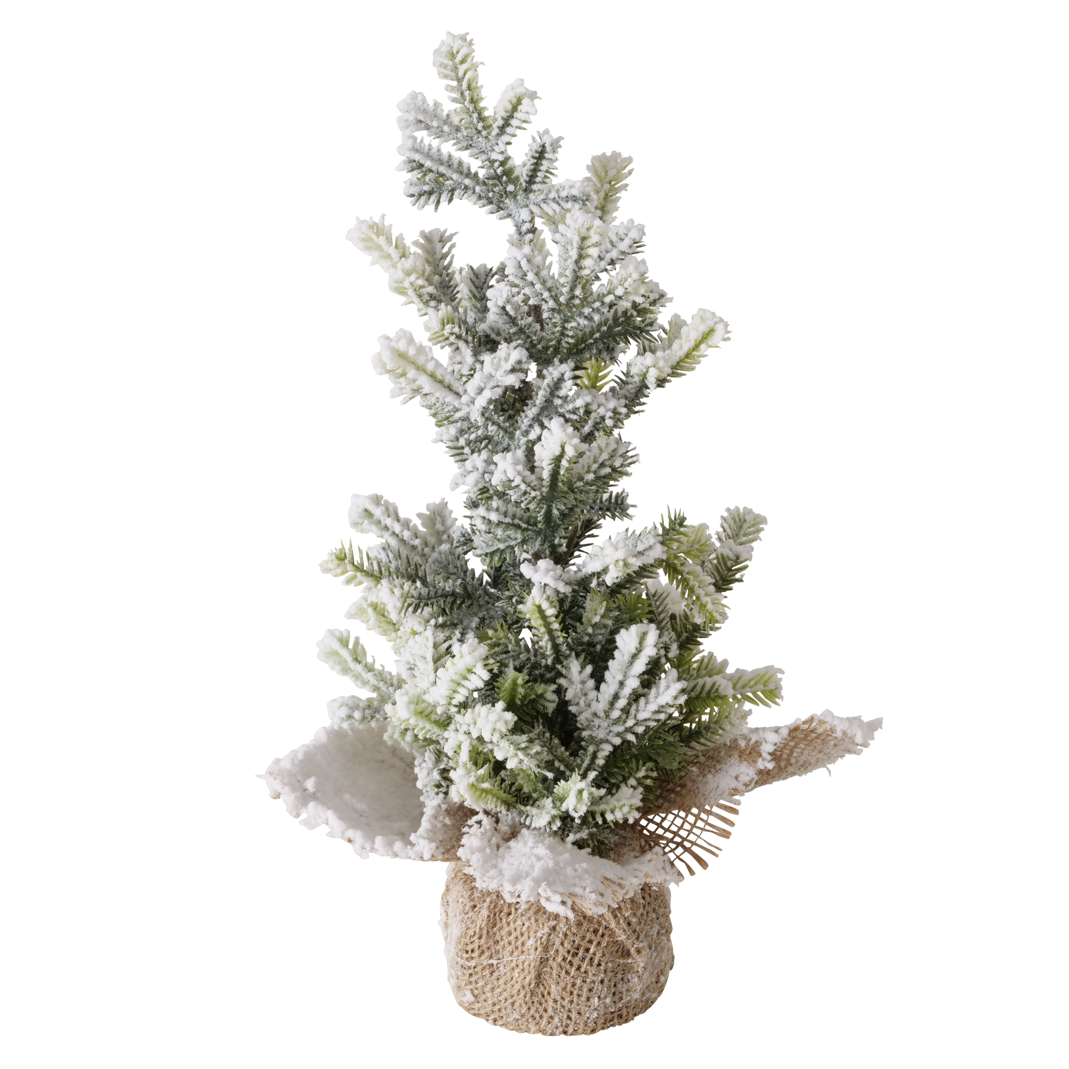 Tannenbaum beschneit TANNE Tannenbaum beschneit TANNE