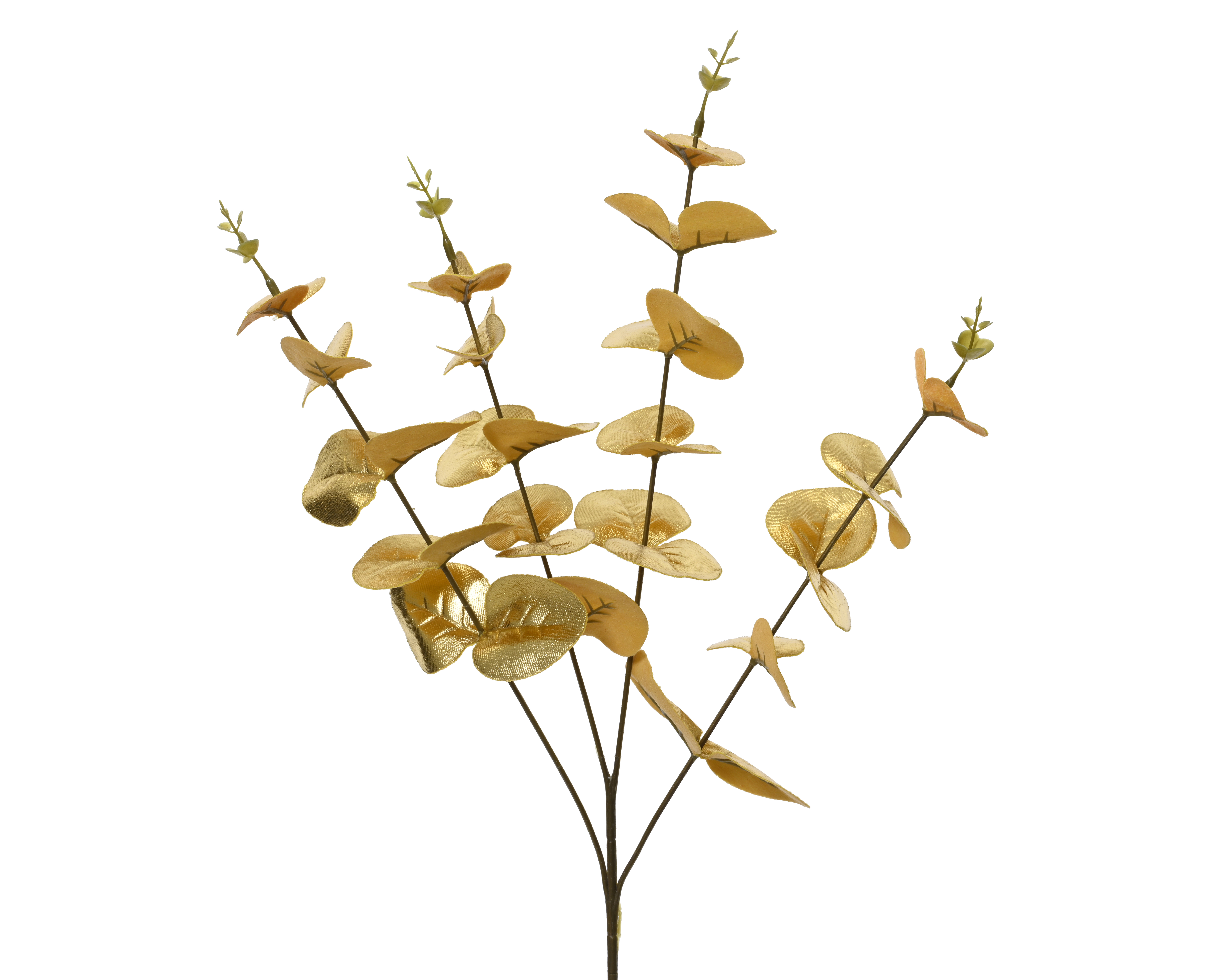 Branche d'eucalyptus FLOWERS Branche d'eucalyptus FLOWERS