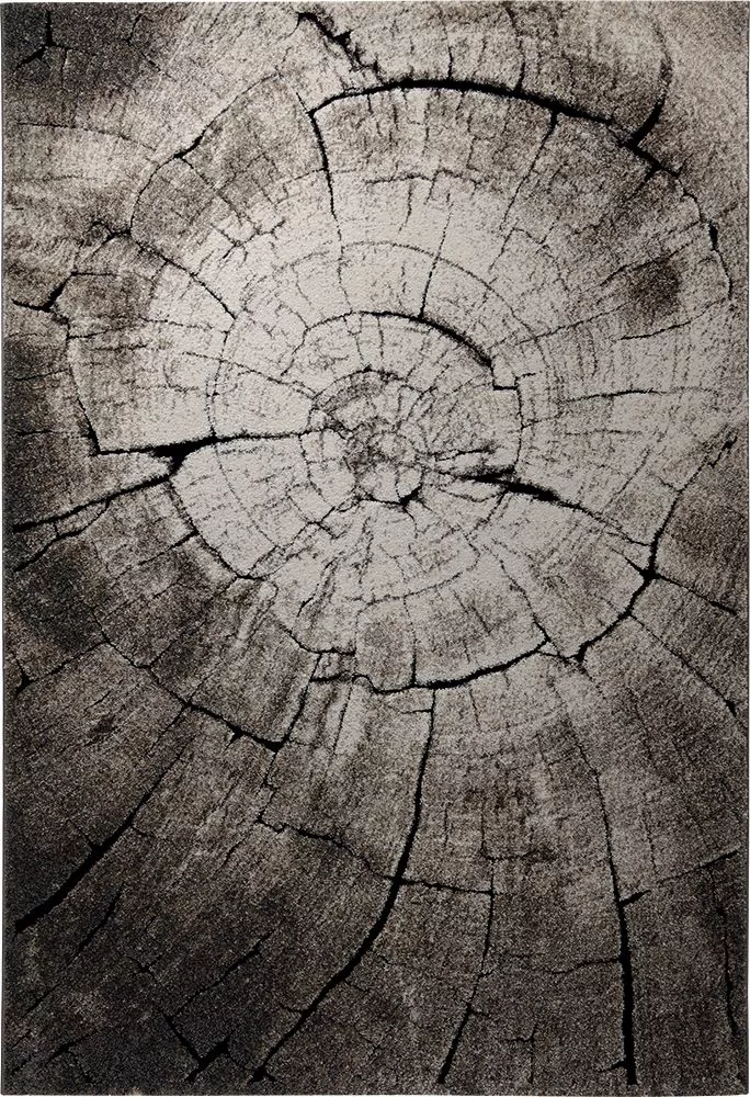 Teppich WILD OAK