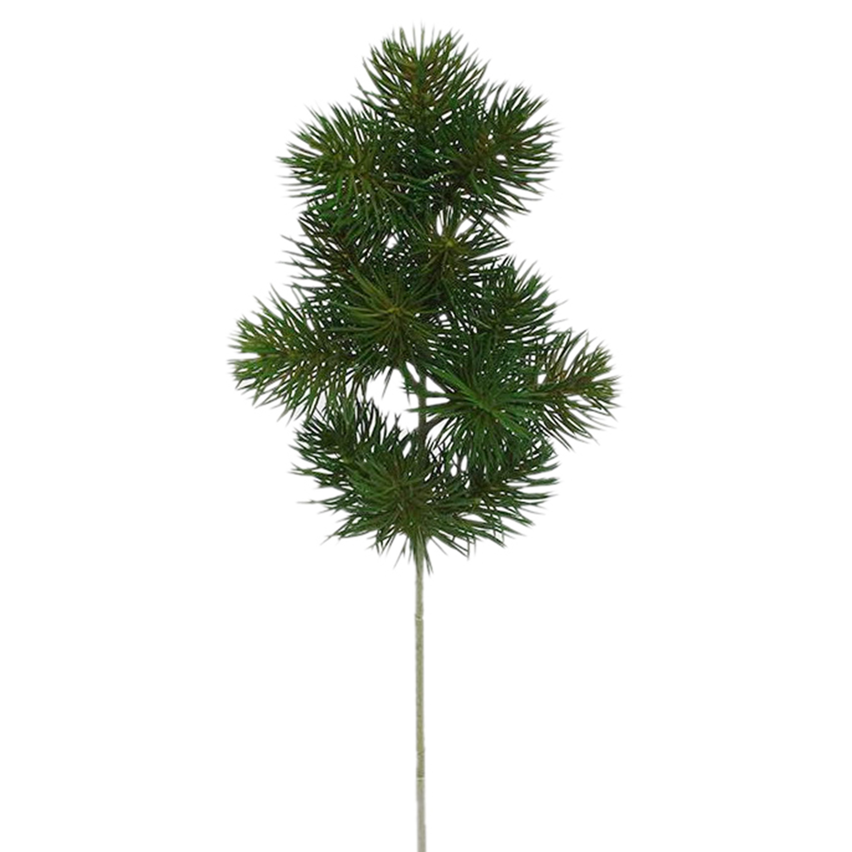 Branche décorative TANNE