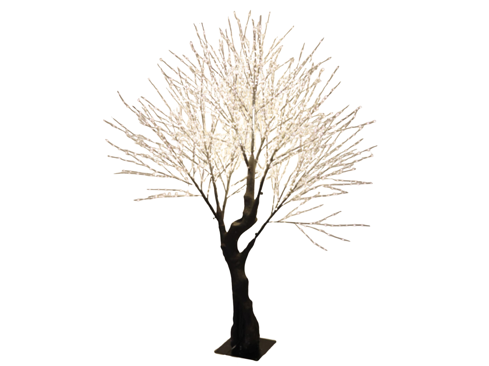 Arbre avec plus de 3000 LED FLASH Arbre avec plus de 3000 LED FLASH