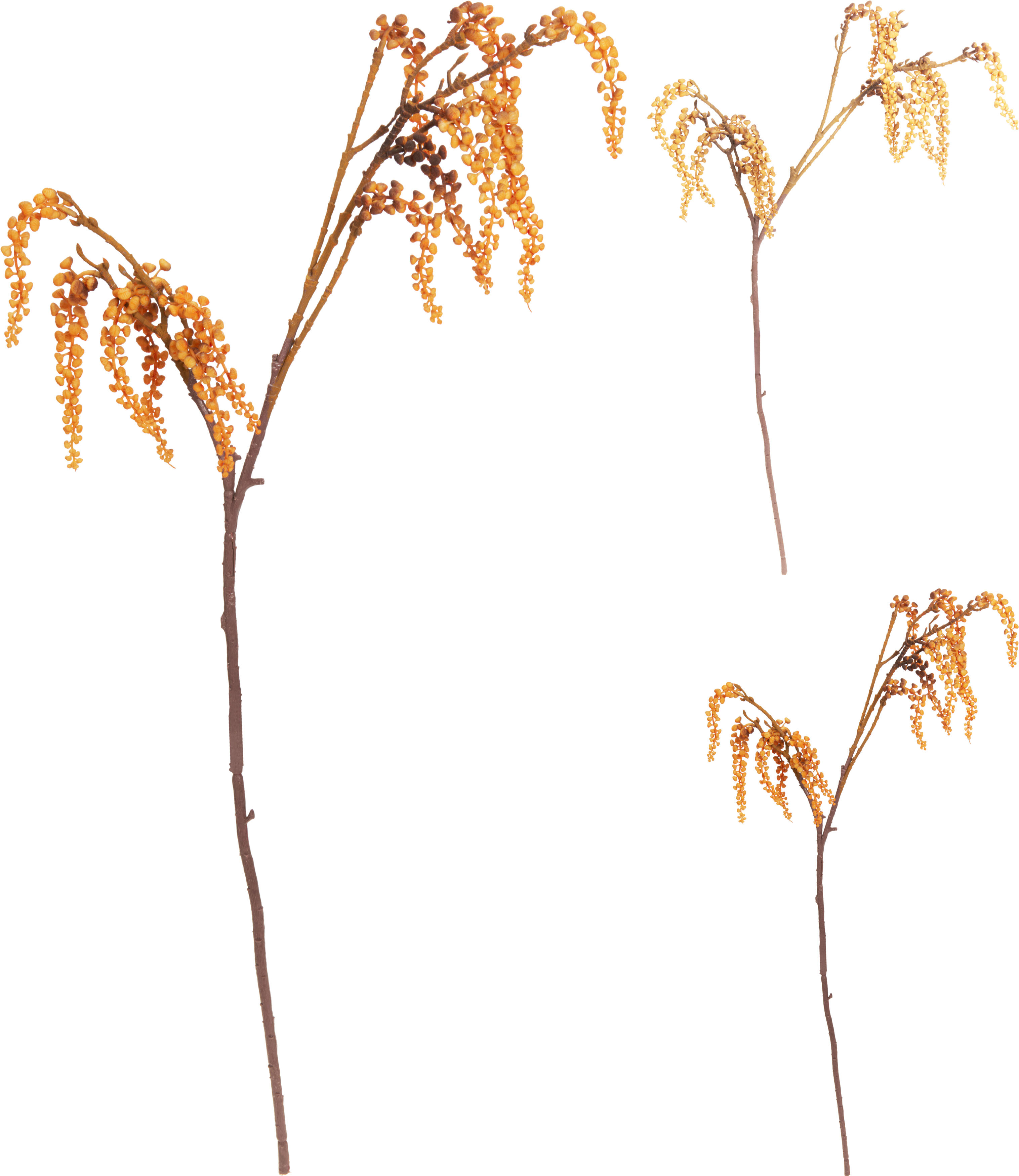 Branche d’automne HERBST Branche d’automne HERBST