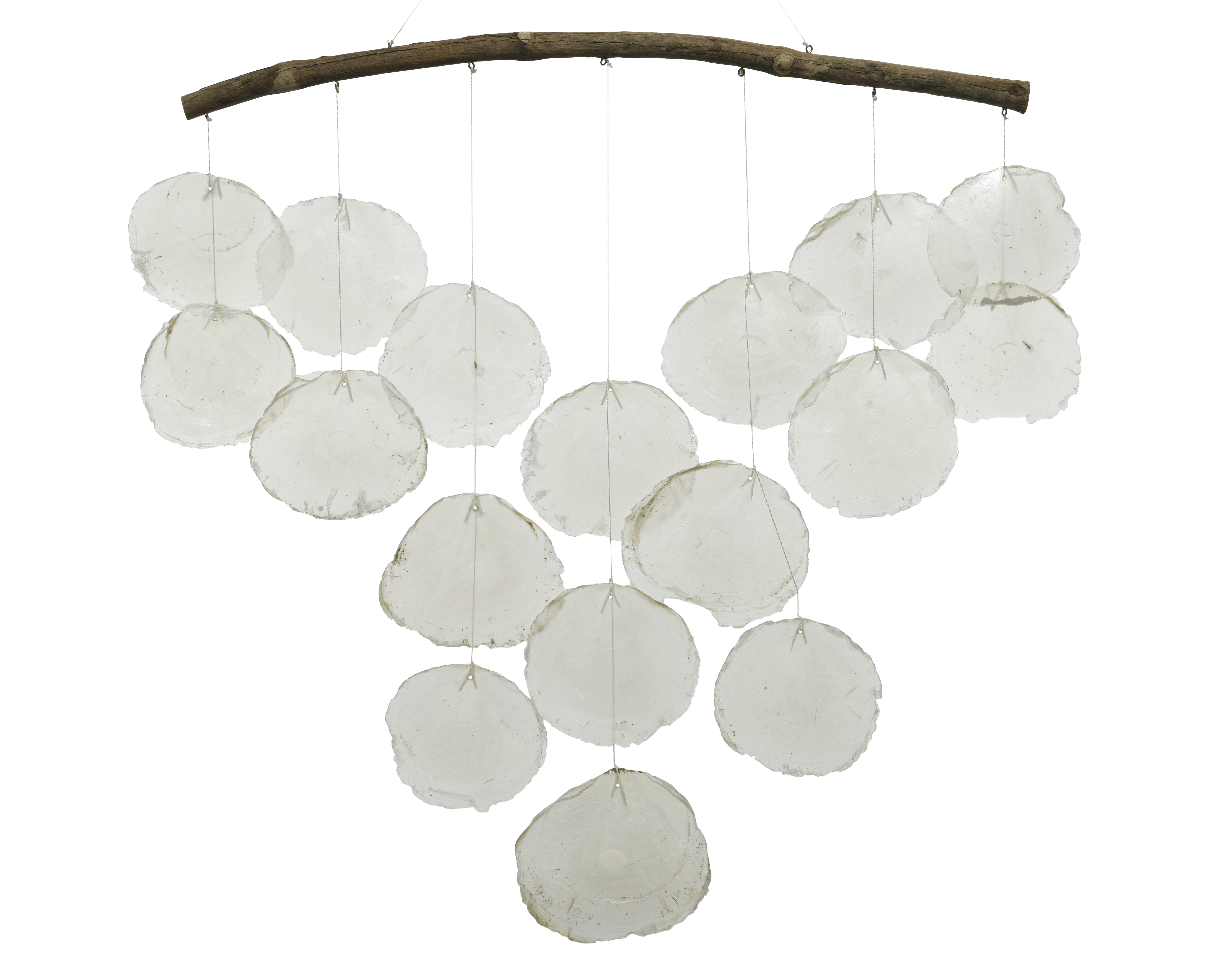 Muschelhänger TREIBHOLZ