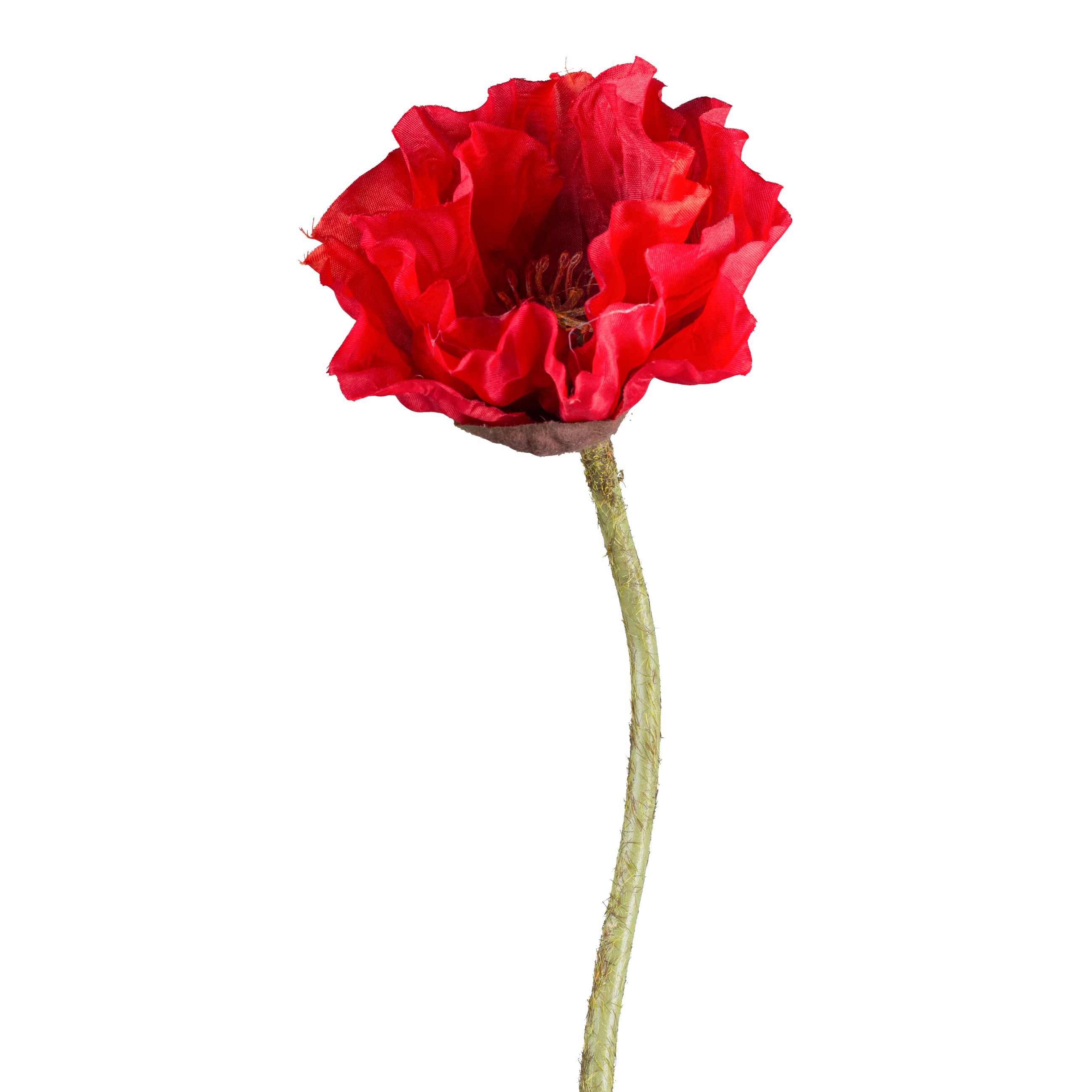 Fleur décorative MOHN