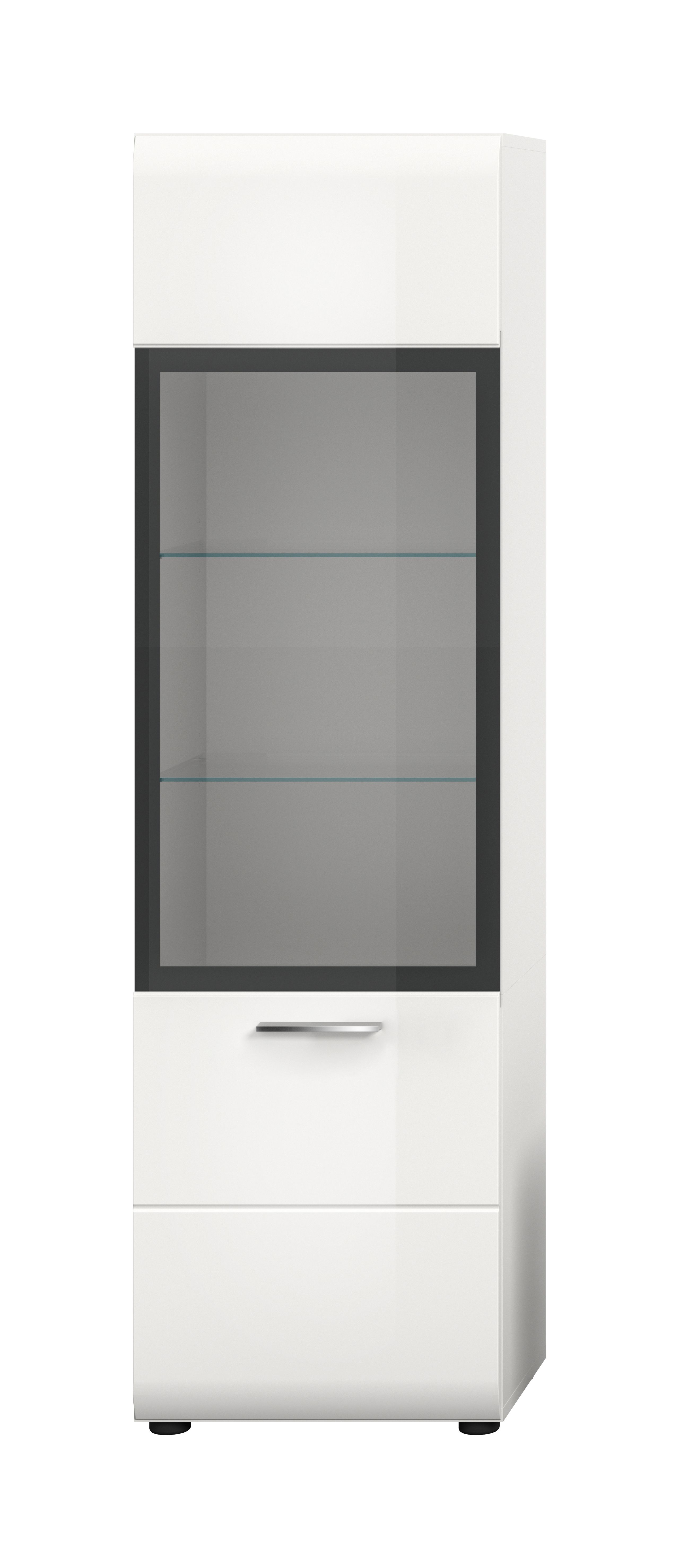 Vitrine ICE Vitrine ICE