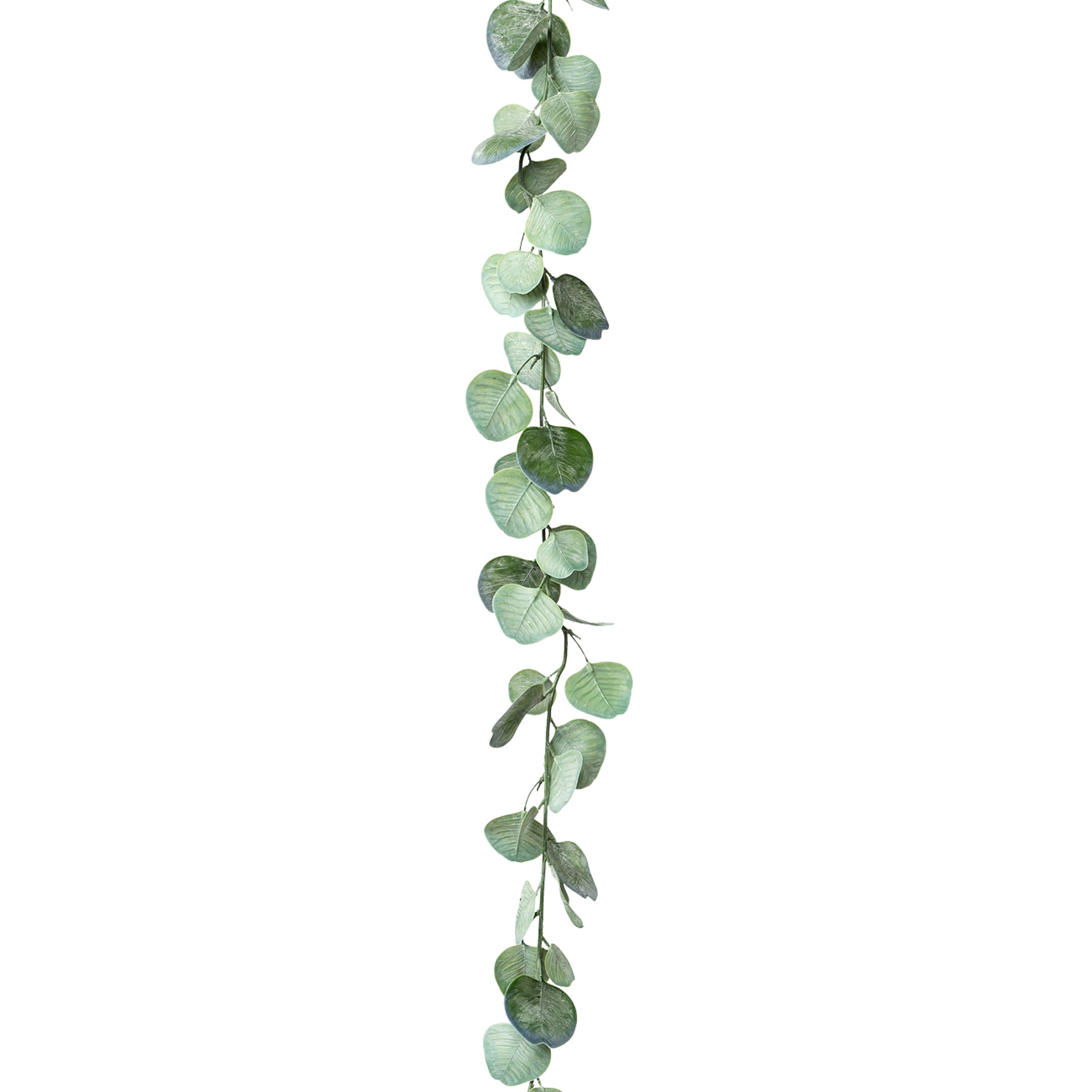 Dekopflanze Eukalyptusgirlande EUKALYPTUS