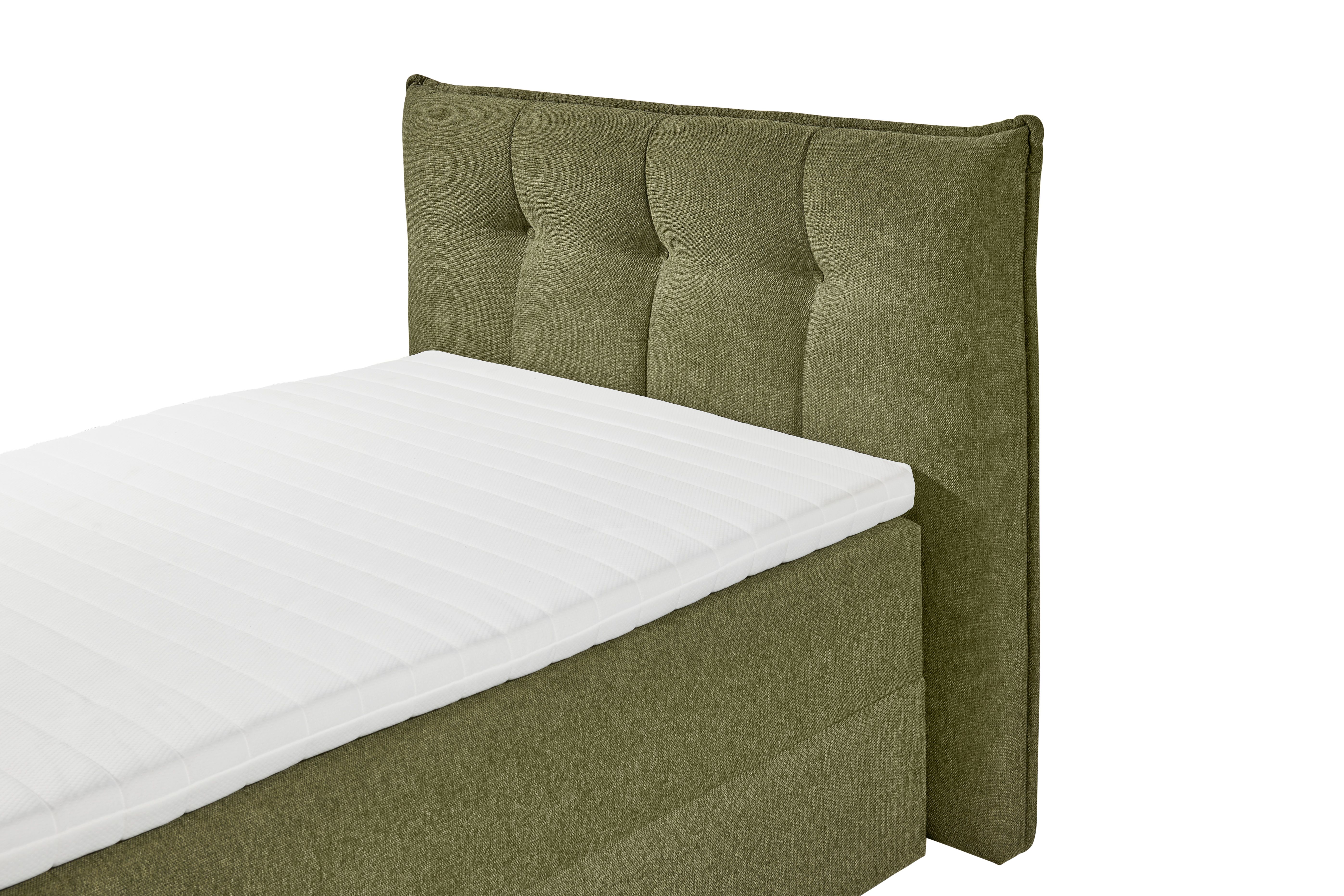 Boxbett THOMPSON 6