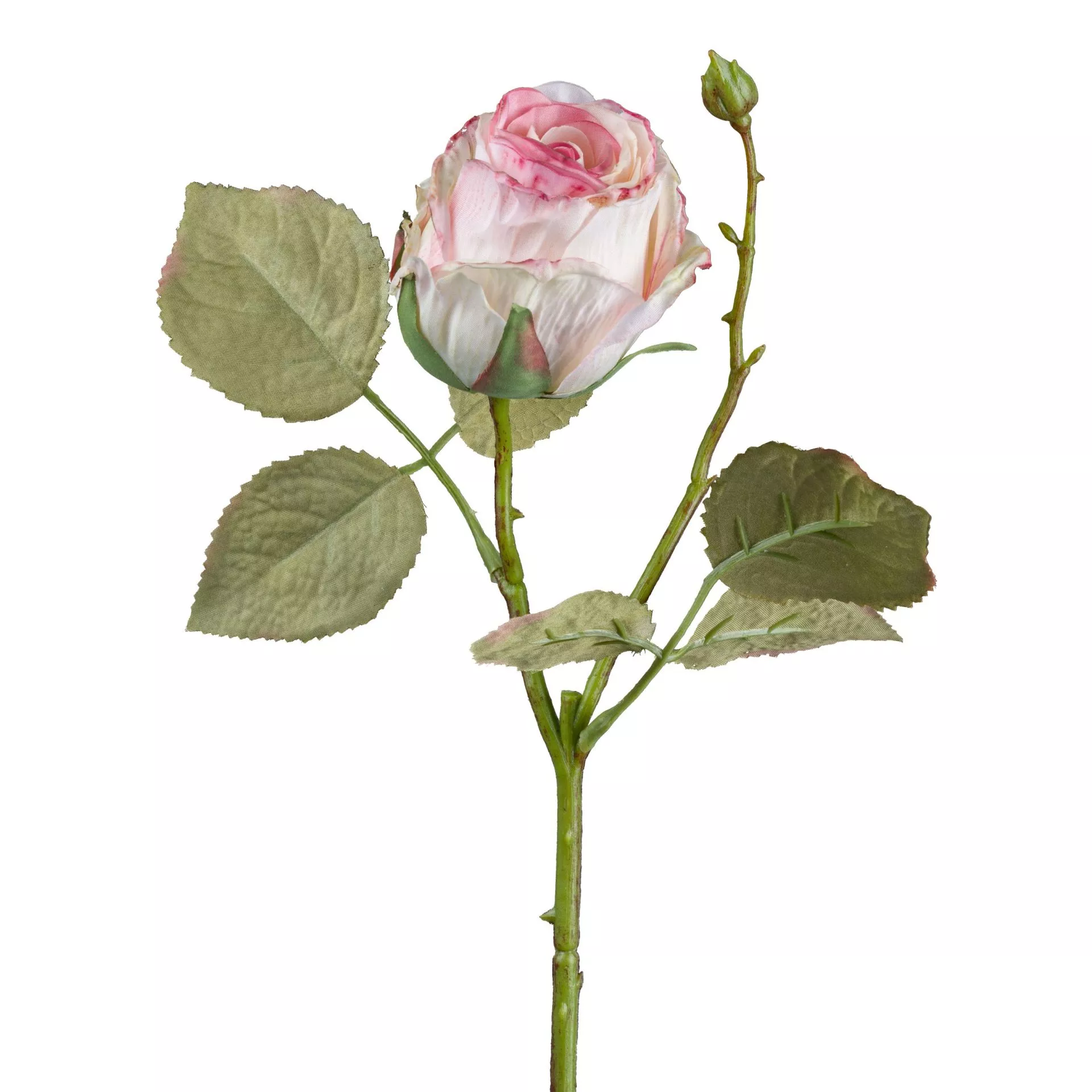 Rose décorative VINTAGE ROSE